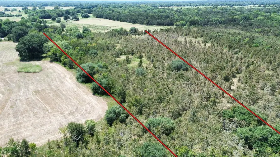 FM 141, Giddings, TX 78942 - #3