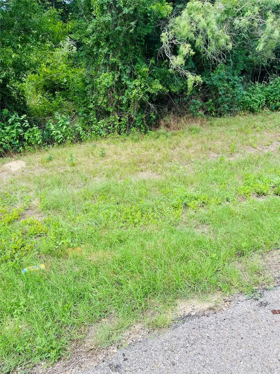 115 S Fm 908, Rockdale, TX 76567 - Image #2