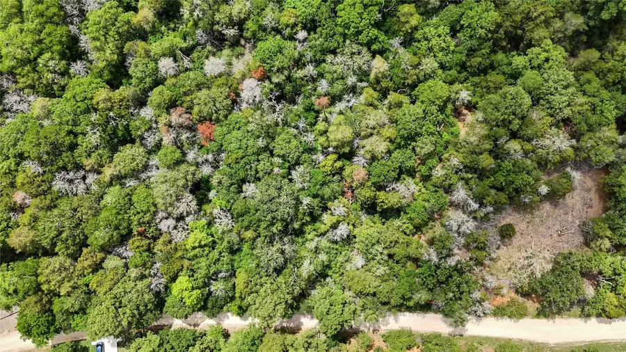 135 Helemano Dr, Bastrop, TX 78602 - Image #3