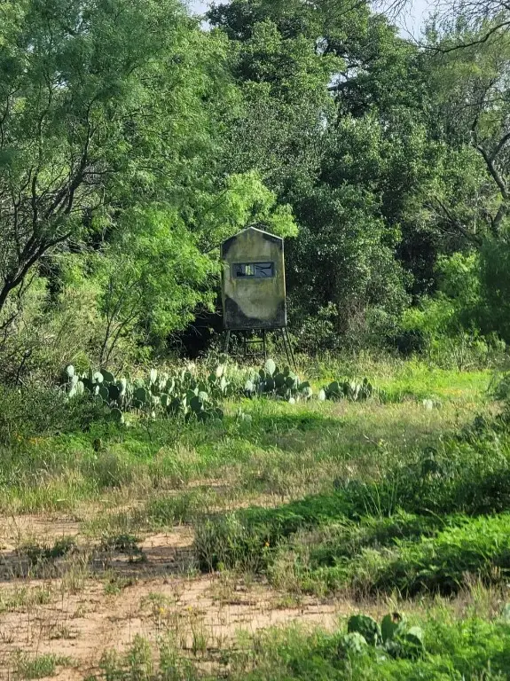 950 County Road 442, Rochelle, TX 76872 - Image #3