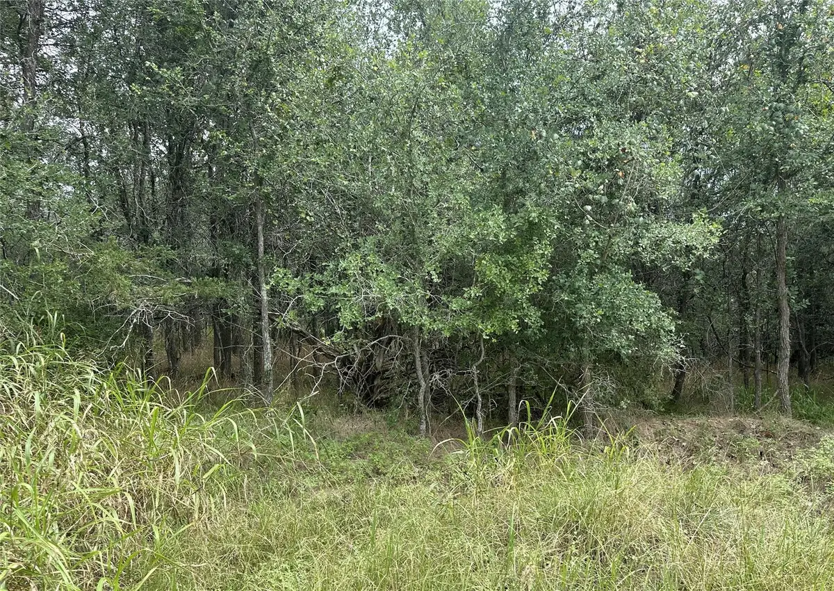 109 Halawa Ct, Bastrop, TX 78602 - #1