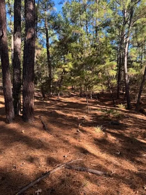 Lot 1395 Kaupa Ct, Bastrop, TX 78602 - #1