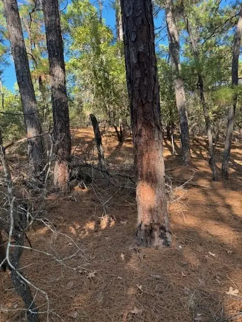 Lot 1395 Kaupa Ct, Bastrop, TX 78602 - #2