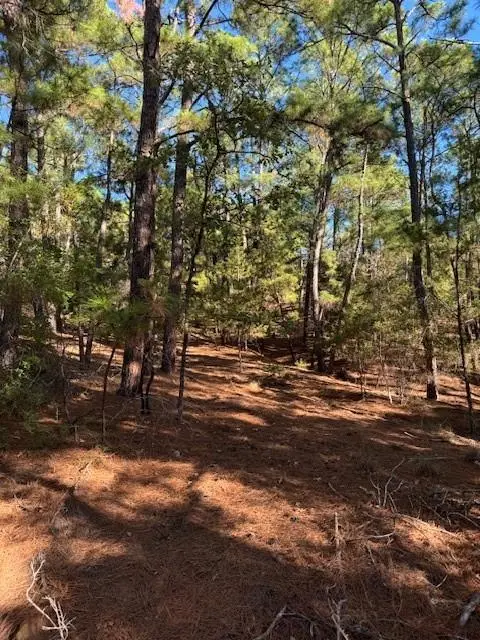 Lot 1395 Kaupa Ct, Bastrop, TX 78602 - #3