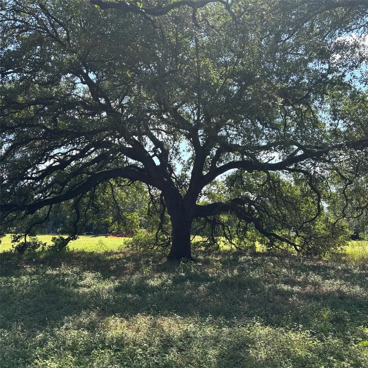 2477 State Highway 159, La Grange, TX 78945 - Image #1