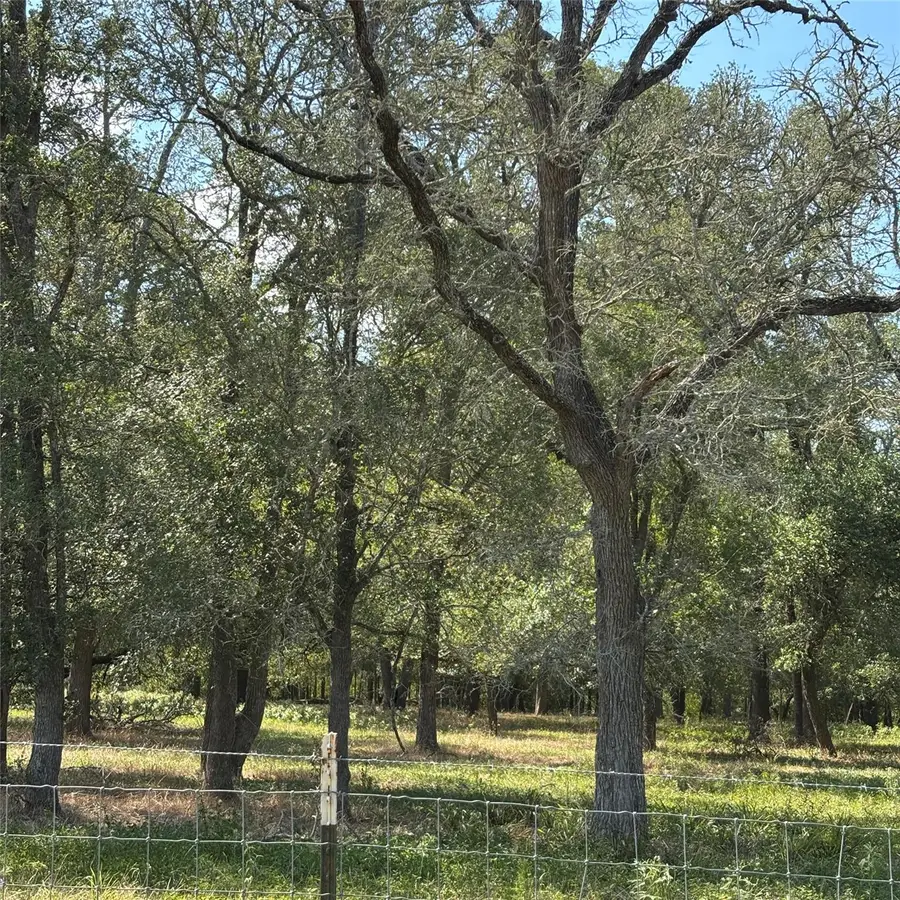 2477 State Highway 159, La Grange, TX 78945 - Image #2