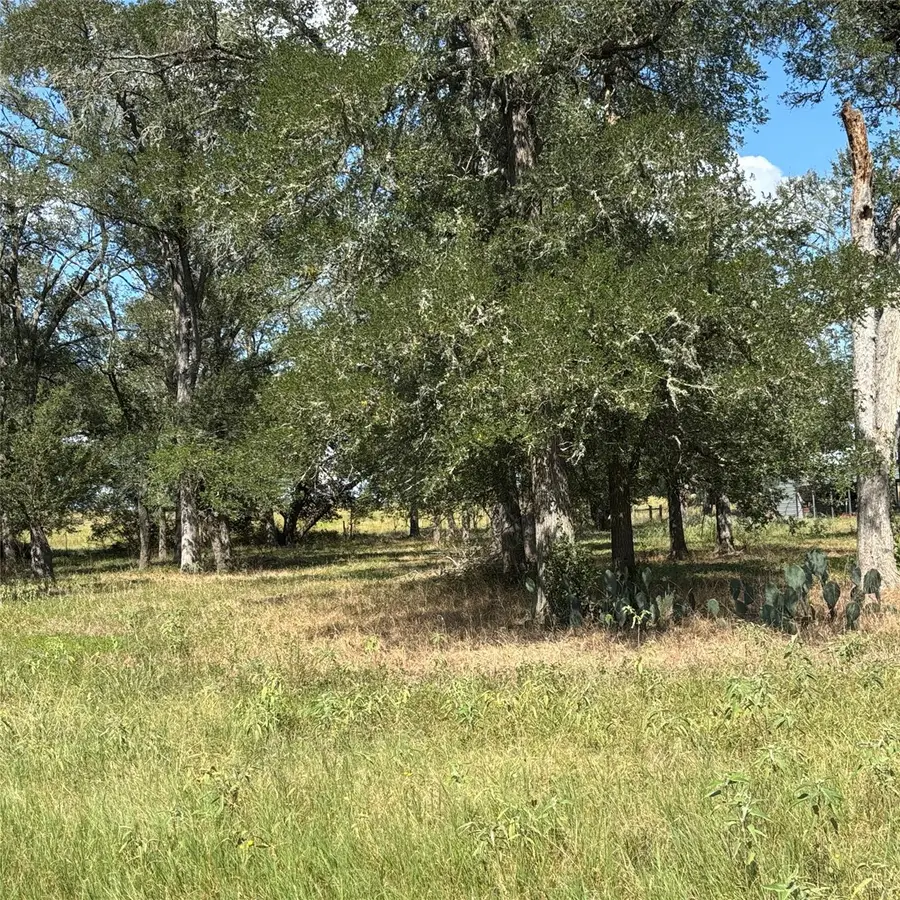 2477 State Highway 159, La Grange, TX 78945 - Image #3