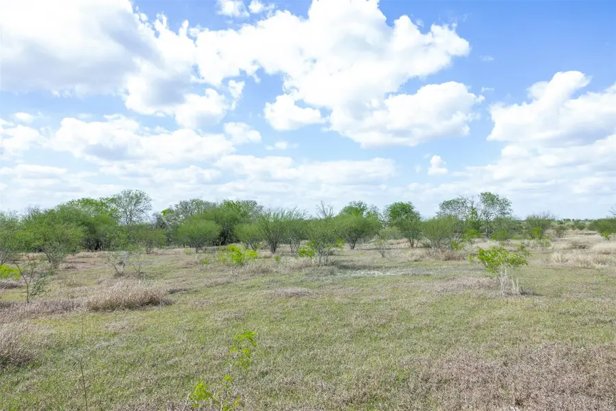 20.02 Acres Concrete Edgar Rd, Cuero, TX 77954 - #2