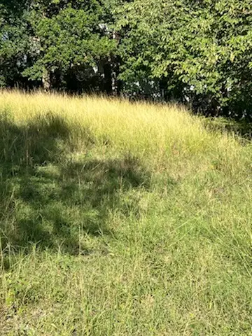 2102 Uphill Ln, Austin, TX 78741