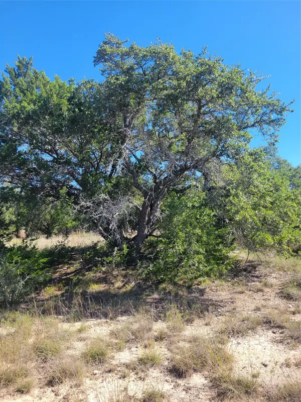 648 Bonita Dr, Blanco, TX 78606