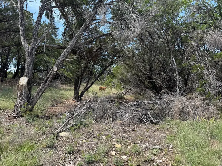 6800 Brewer Ln, Lago Vista, TX 78645 - #3