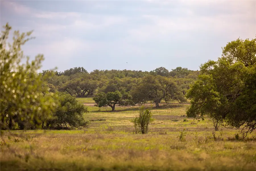 2427 Prochnow Rd, Dripping Springs, TX 78620 - #2