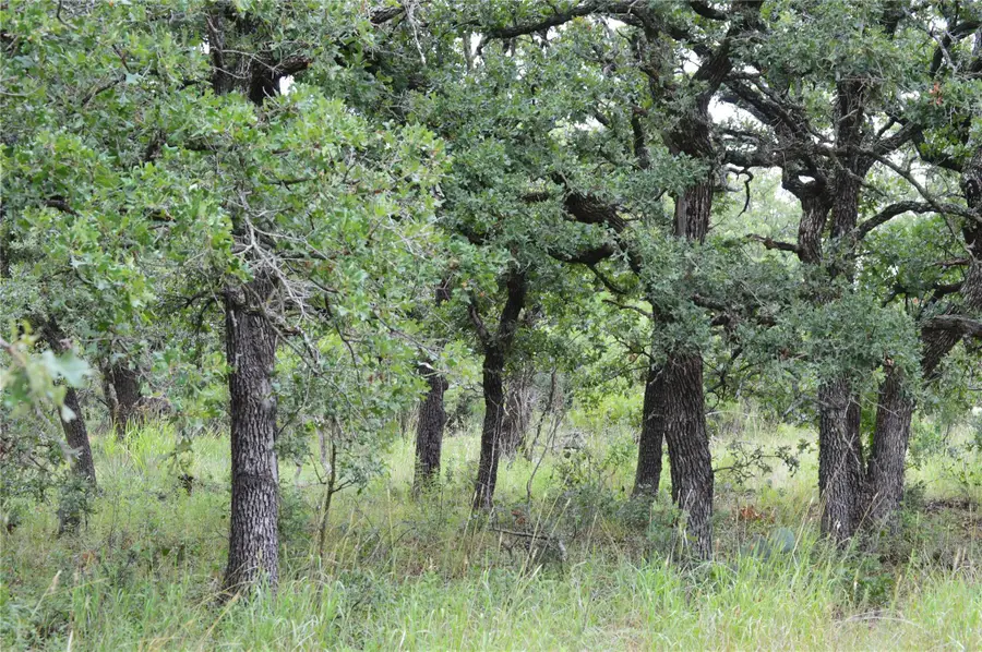 TBD County Road 400, Eastland, TX 76437 - Image #3