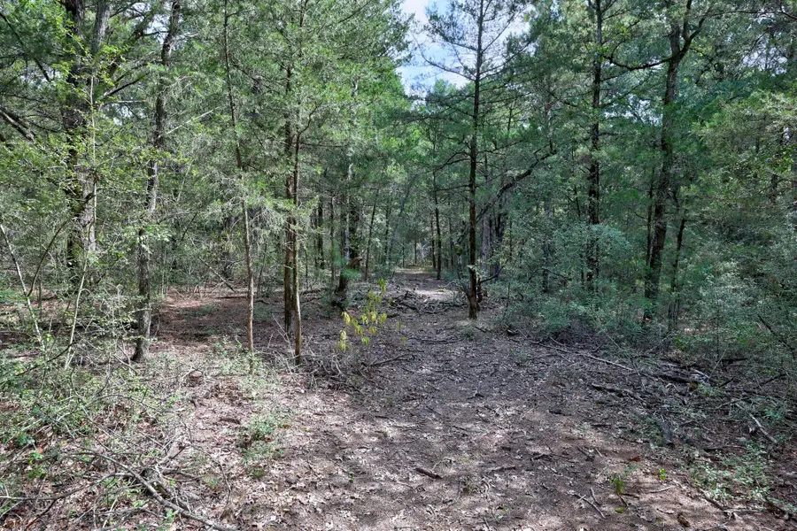 128 Barras Rd, Paige, TX 78659 - Image #2