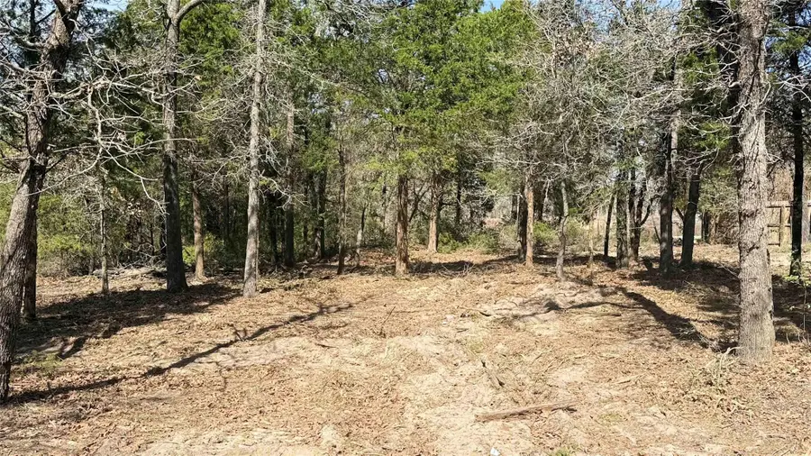 130 Las Cimas Dr, Elgin, TX 78621 - #2