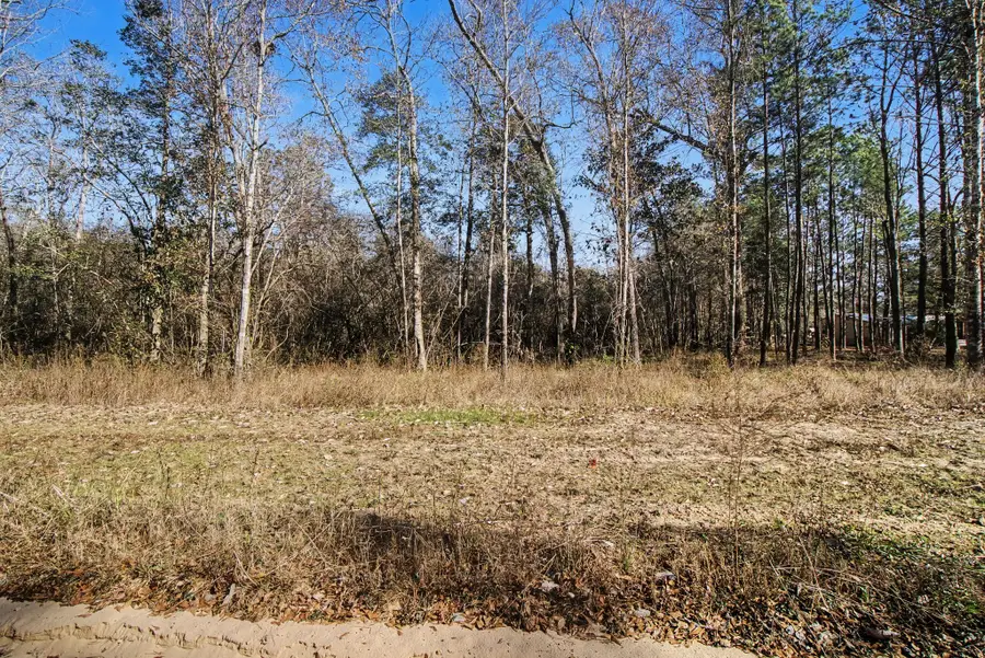 Tract 69 Northcrest Dr, Livingston, TX 77351 - #2