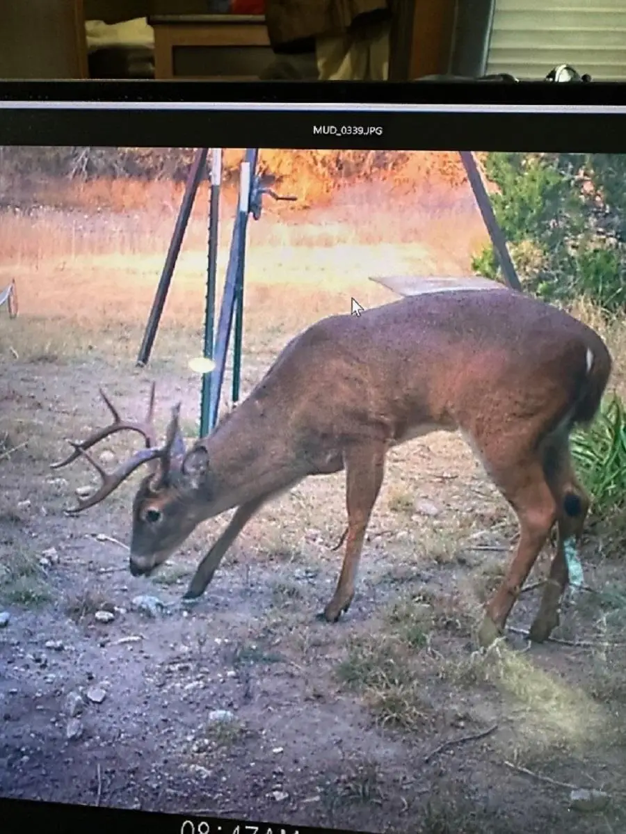 0 Us Hwy 183 N Highway, Lometa, TX 76853 - Image #1