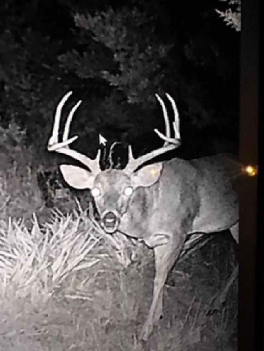 0 Us Hwy 183 N Highway, Lometa, TX 76853 - Image #2