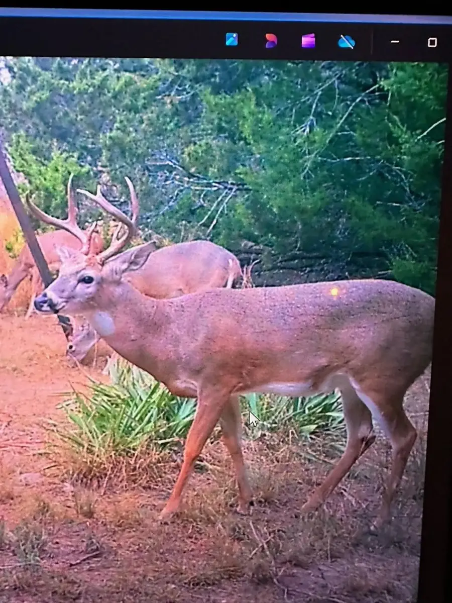 0 Us Hwy 183 N Highway, Lometa, TX 76853 - Image #3