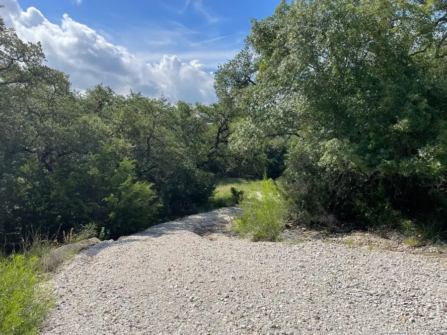 1409 Lavaca Dr, Canyon Lake, TX 78133 - #2