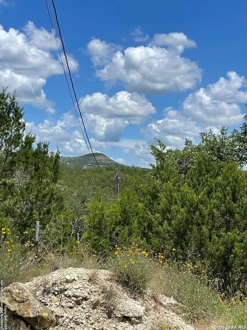 1409 Lavaca Dr, Canyon Lake, TX 78133 - #3