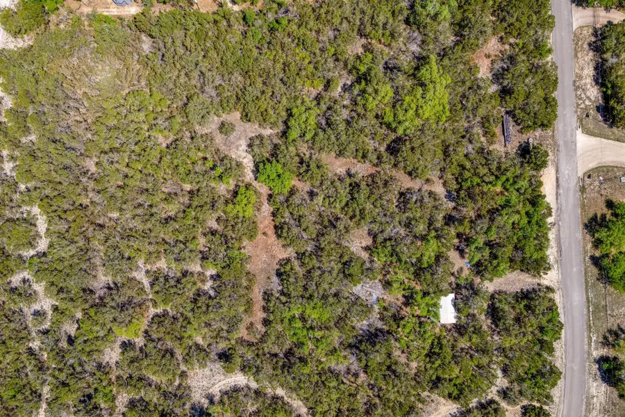 701 Plant Lady Ln, Dripping Springs, TX 78620 - #3