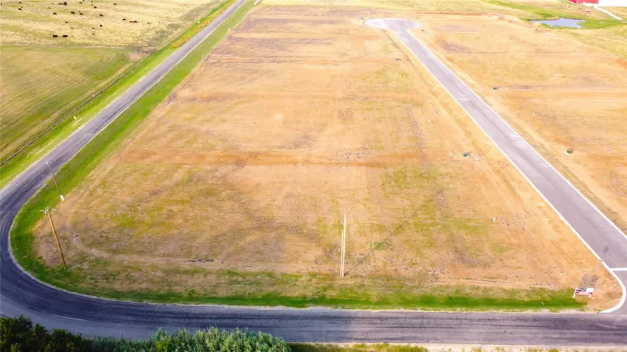 200 Tigerlily Way, Thrall, TX 76578 - #3