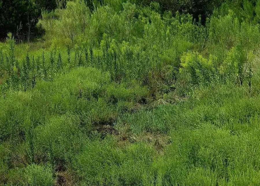 49 County Road 3900, Lampasas, TX 76550 - Image #2