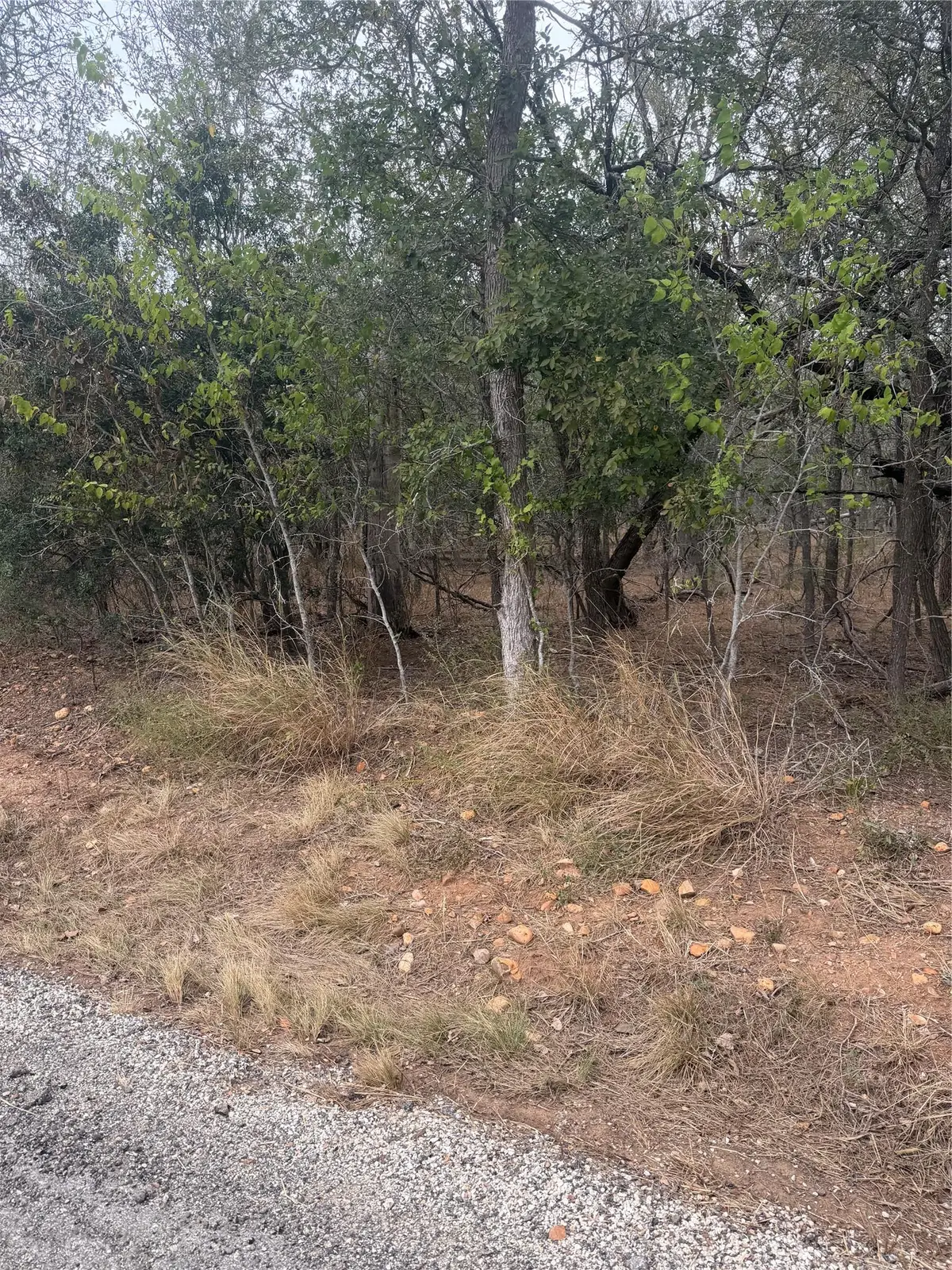 300 Riverside Dr, Bastrop, TX 78602 - #1