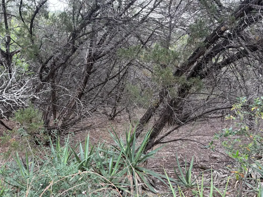 6205 Valleyview St, Lago Vista, TX 78645 - #3