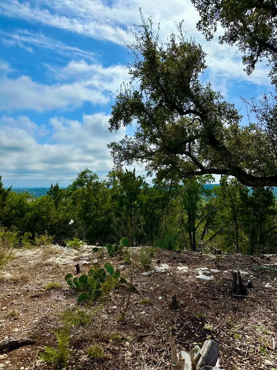 795 Cimarron, Spring Branch, TX 78070 - #1
