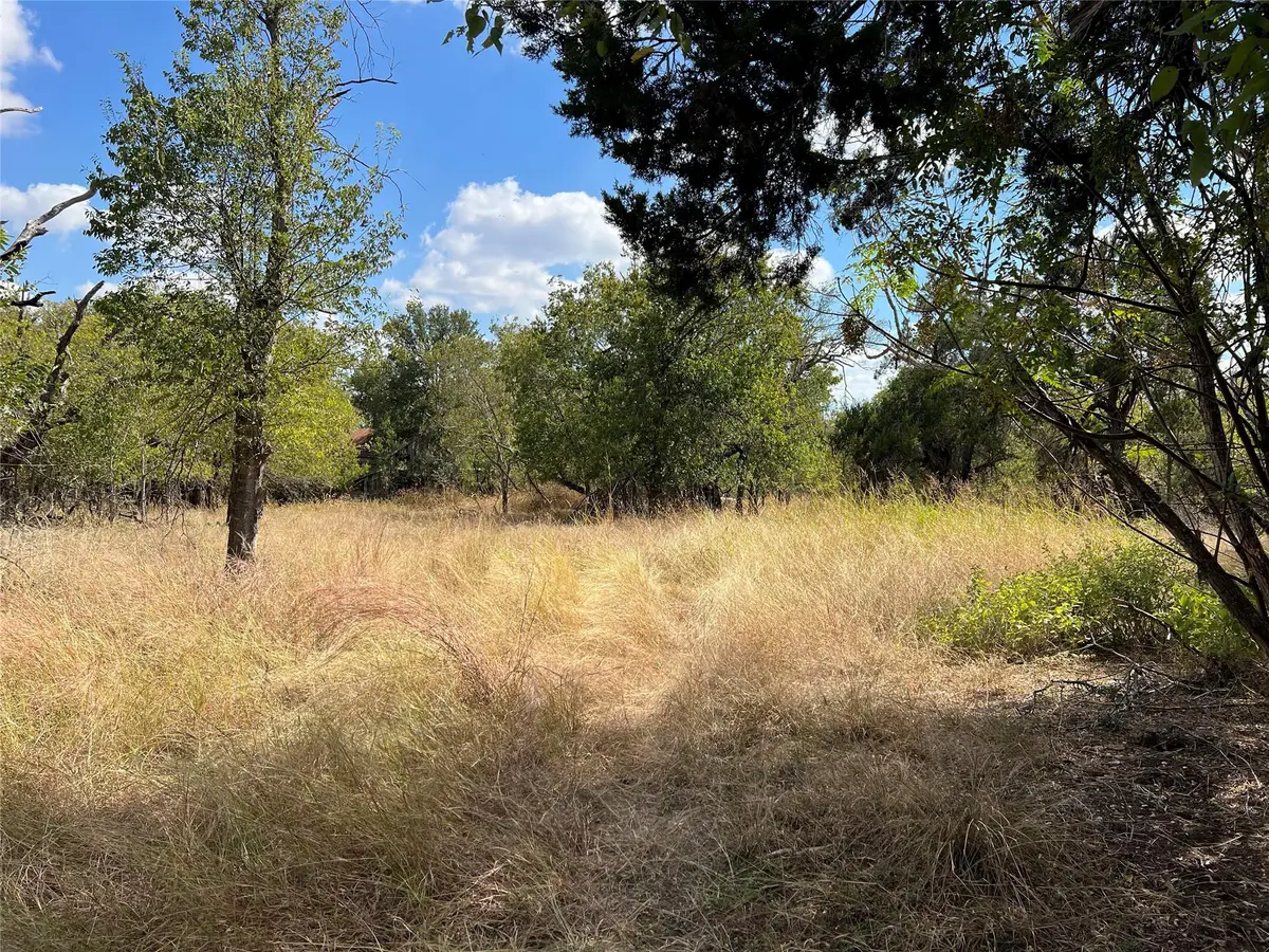 TBD County Road 202, Liberty Hill, TX 78642 - Image #1
