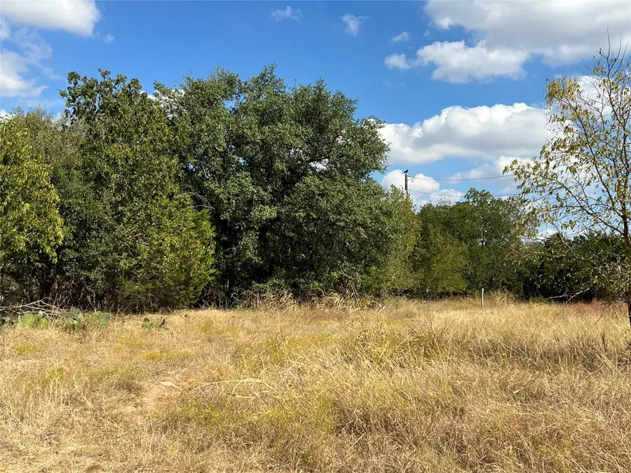 TBD County Road 202, Liberty Hill, TX 78642 - Image #3