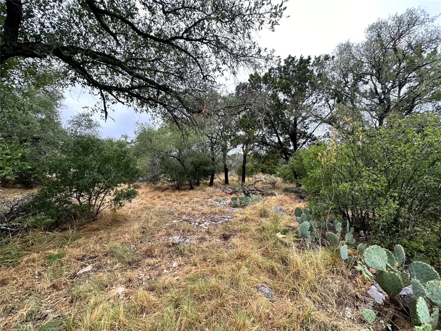 820 Mountain Dew, Horseshoe Bay, TX 78657 - Image #3