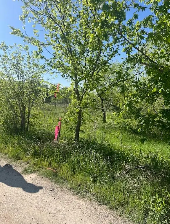 W Brook St(Lot #2, Bk 72) W Brook St, Bartlett, TX 76511 - Image #3