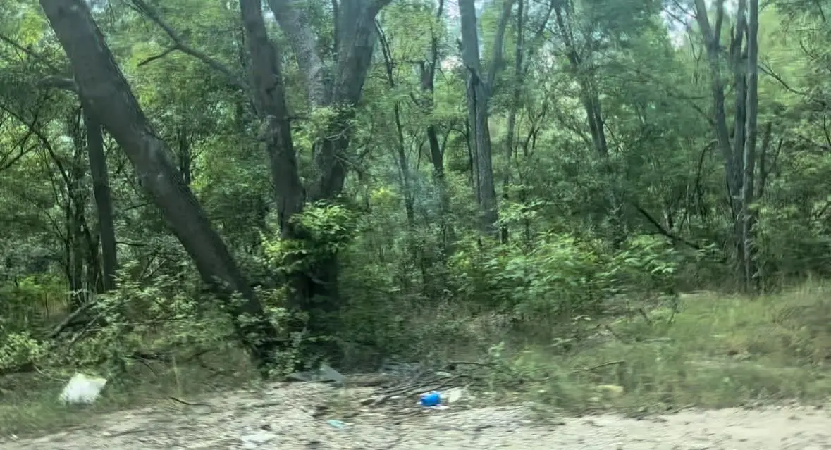 4205 Imperial Dr, Austin, TX 78725 - Image #1