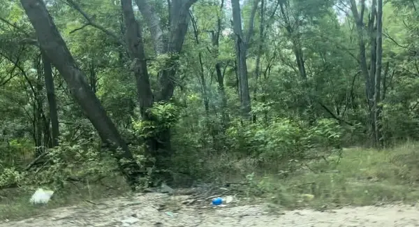 4205 Imperial Dr, Austin, TX 78725