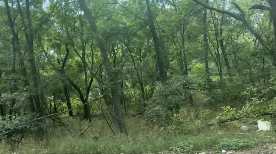 4205 Imperial Dr, Austin, TX 78725 - Image #2