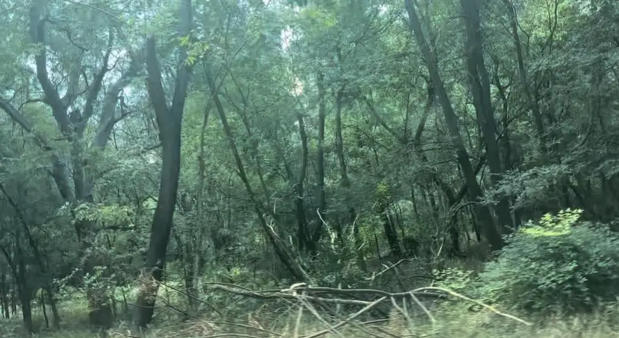 4205 Imperial Dr, Austin, TX 78725 - Image #3