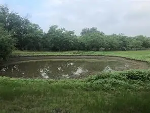 29 Cr 126, Georgetown, TX 78626