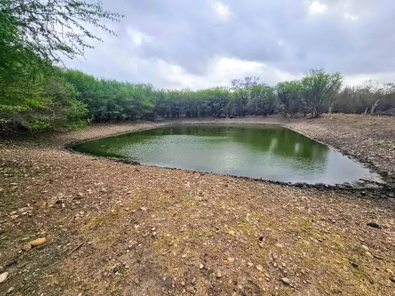 415 Black Watch Ln, Lockhart, TX 78644 - #3