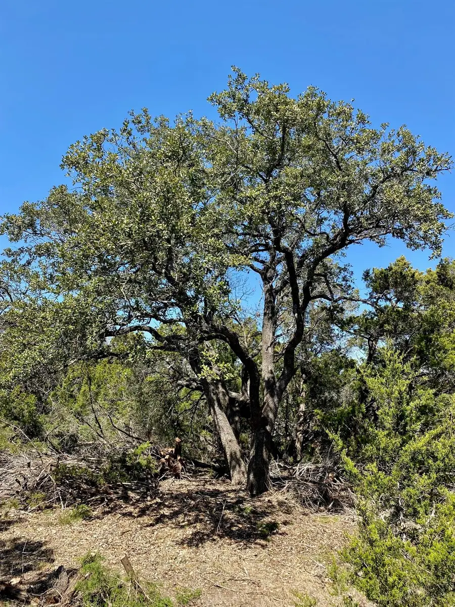 Lot 94 E Dripping View Ct, Johnson City, TX 78636 - Image #3