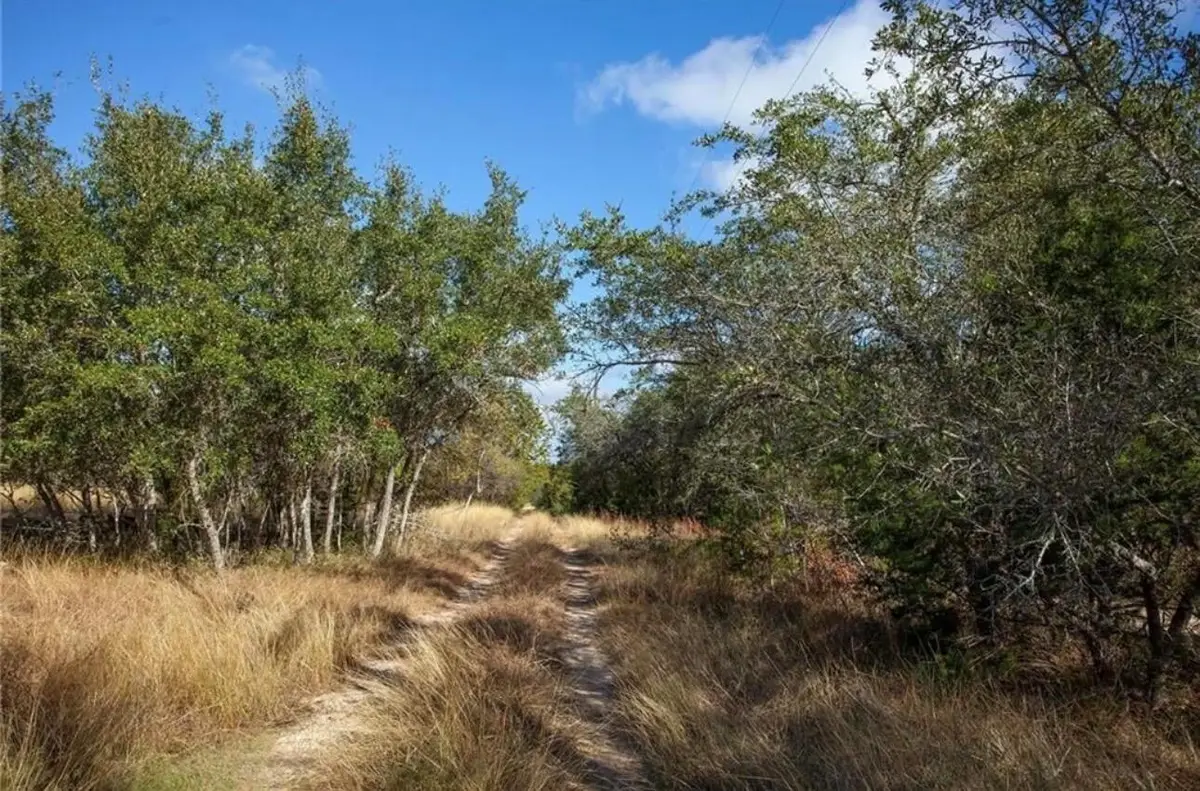 525 Nameless Rd, Driftwood, TX 78619 - #1