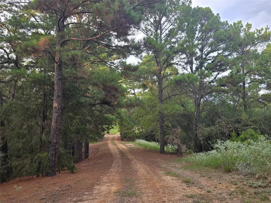 2438 Fm 535 Highway, Rosanky, TX 78953 - Image #3