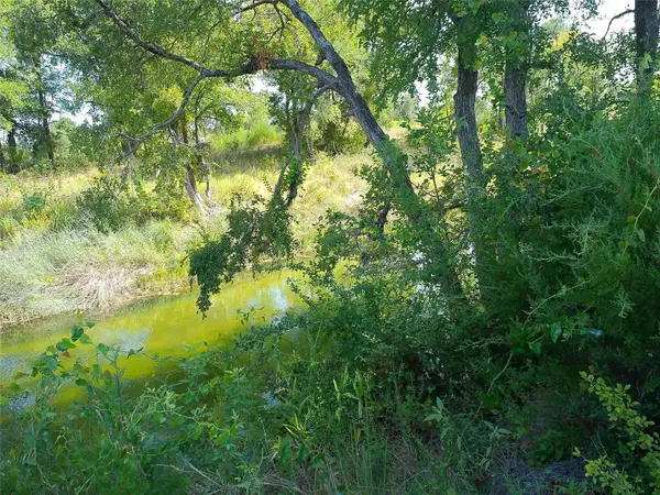 Lot 32 Serenity Dr, Bertram, TX 78605