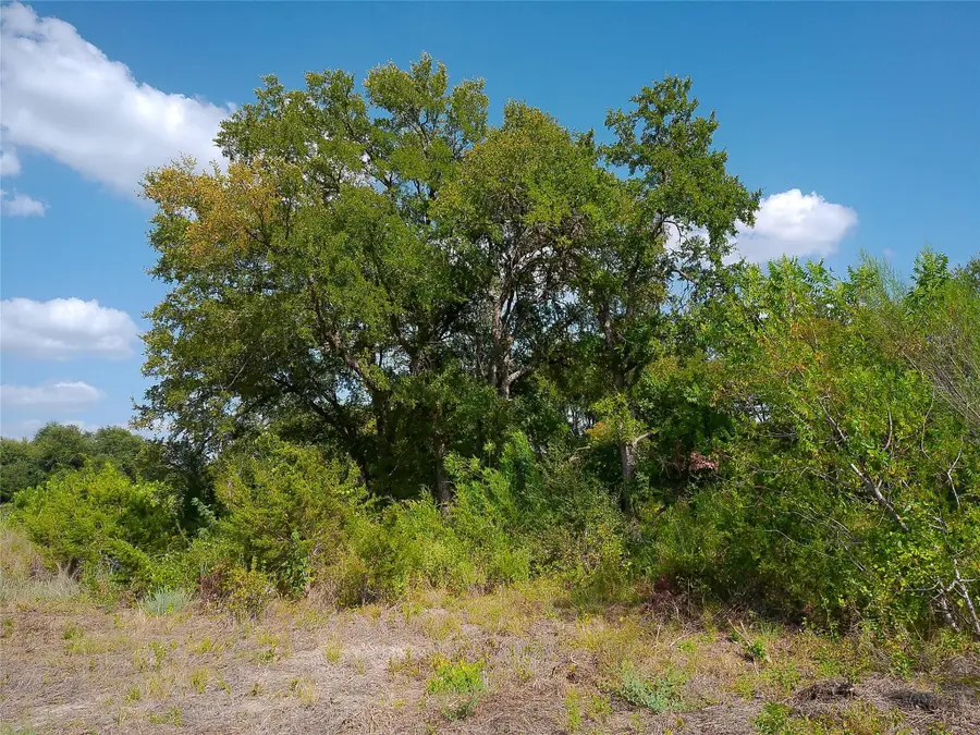 Lot 32 Serenity Dr, Bertram, TX 78605 - #2