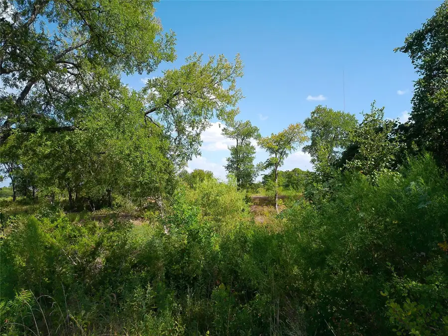 Lot 32 Serenity Dr, Bertram, TX 78605 - #3