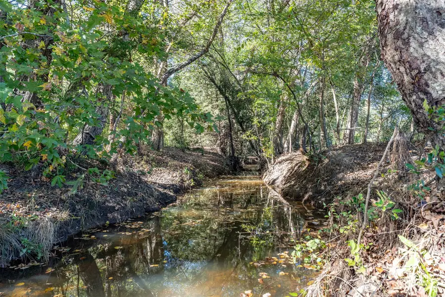 380 An County Road 370, Palestine, TX 75801 - Image #3