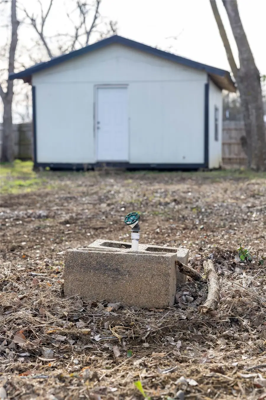 529 Giddings St, Lexington, TX 78947 - Image #3