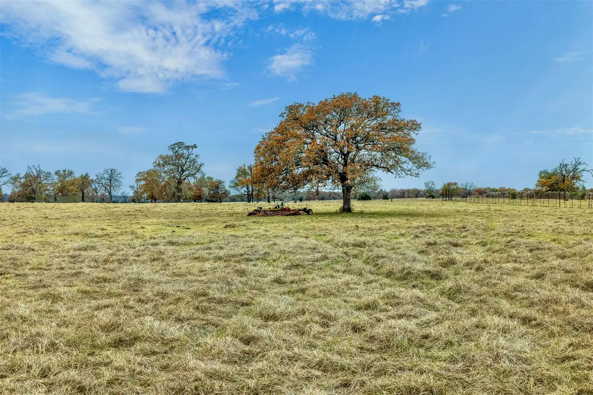 2150 County Road 412, Lexington, TX 78947 - #1